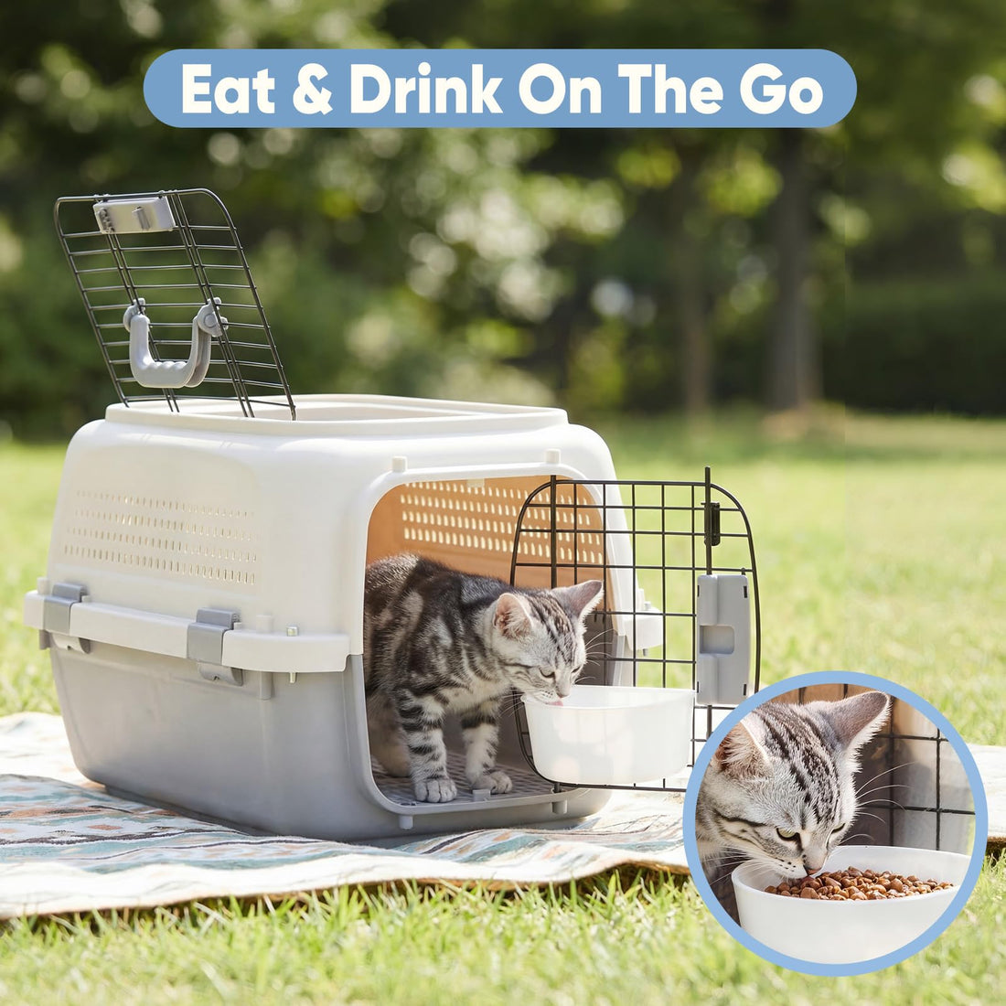 Airline-Approved Pet Carrier | Front & Top Load Travel Crate