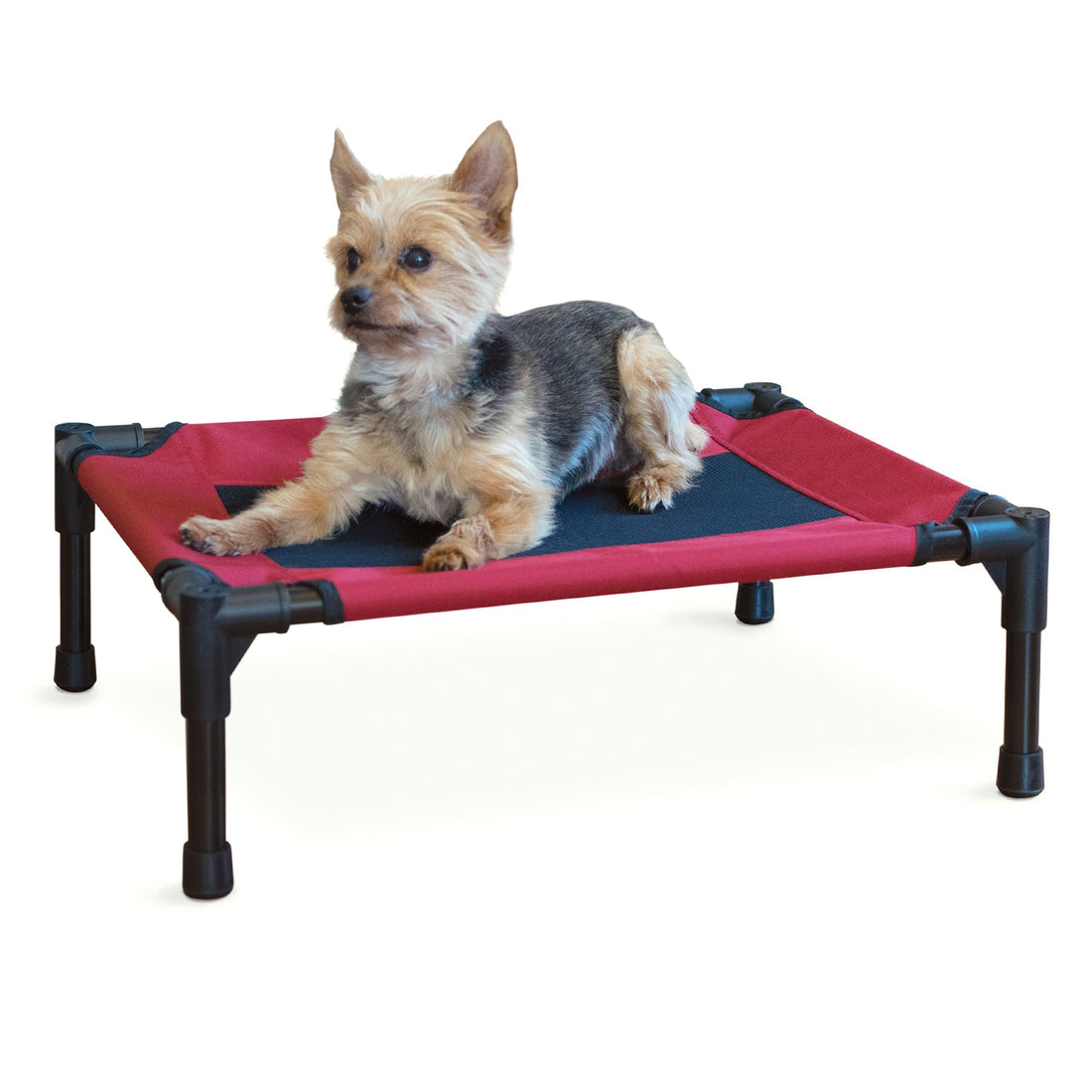 K&H Elevated Dog Bed, Small to X-Large