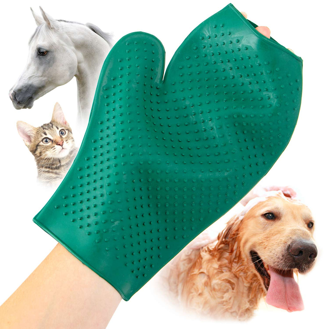 GROOMIT - Rubber Grooming Glove for Animals