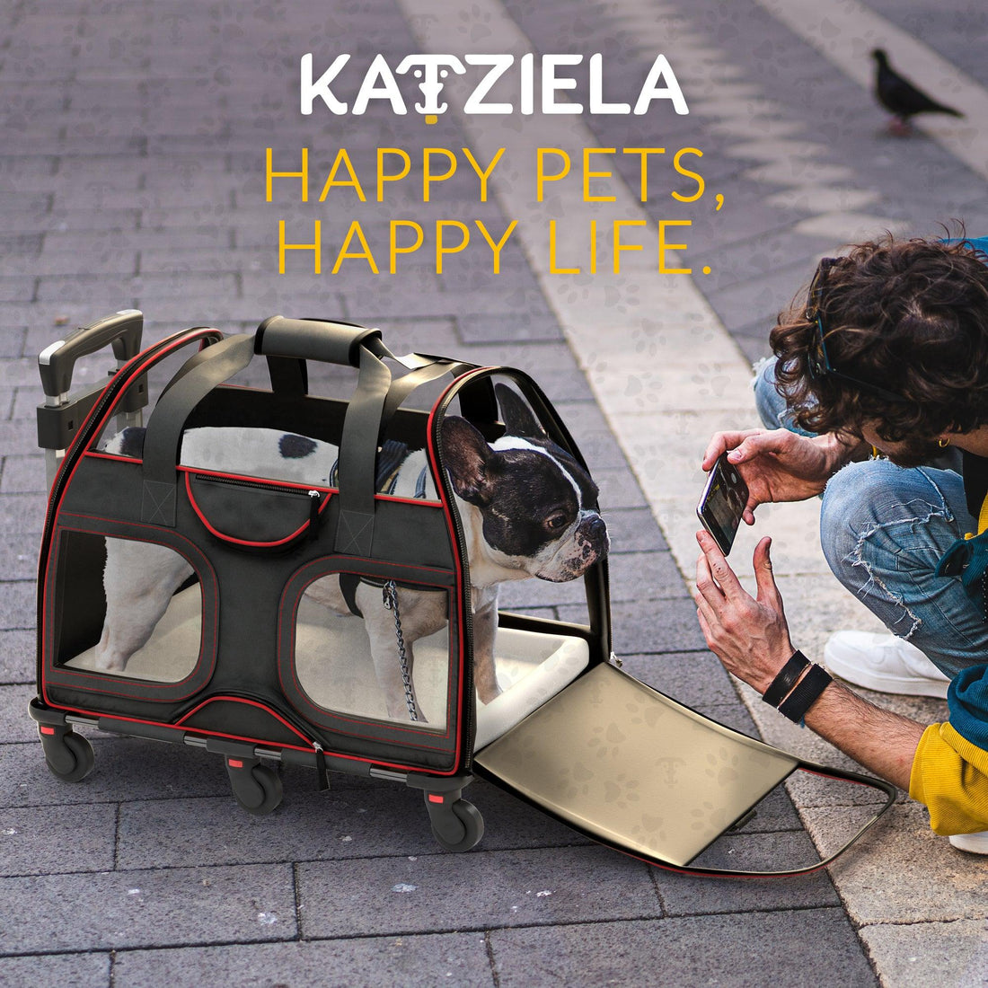 Luxury Rider Pet Carrier | Rolling Travel Carrier with Wheels