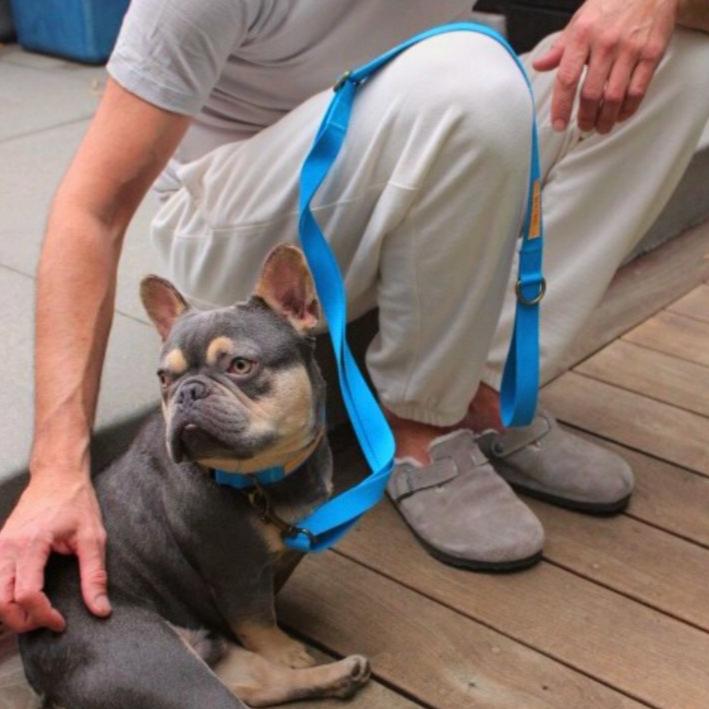 Tilley + Me Hemp Cotton Dog Leash - Durable, Sustainable, Adjustable, Lightweight & Soft-Malibu