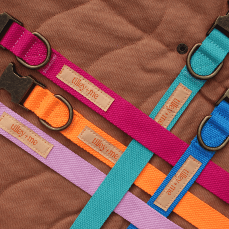Tilley + Me Hemp Cotton Dog Leash - Durable, Sustainable, Adjustable, Lightweight & Soft-Malibu