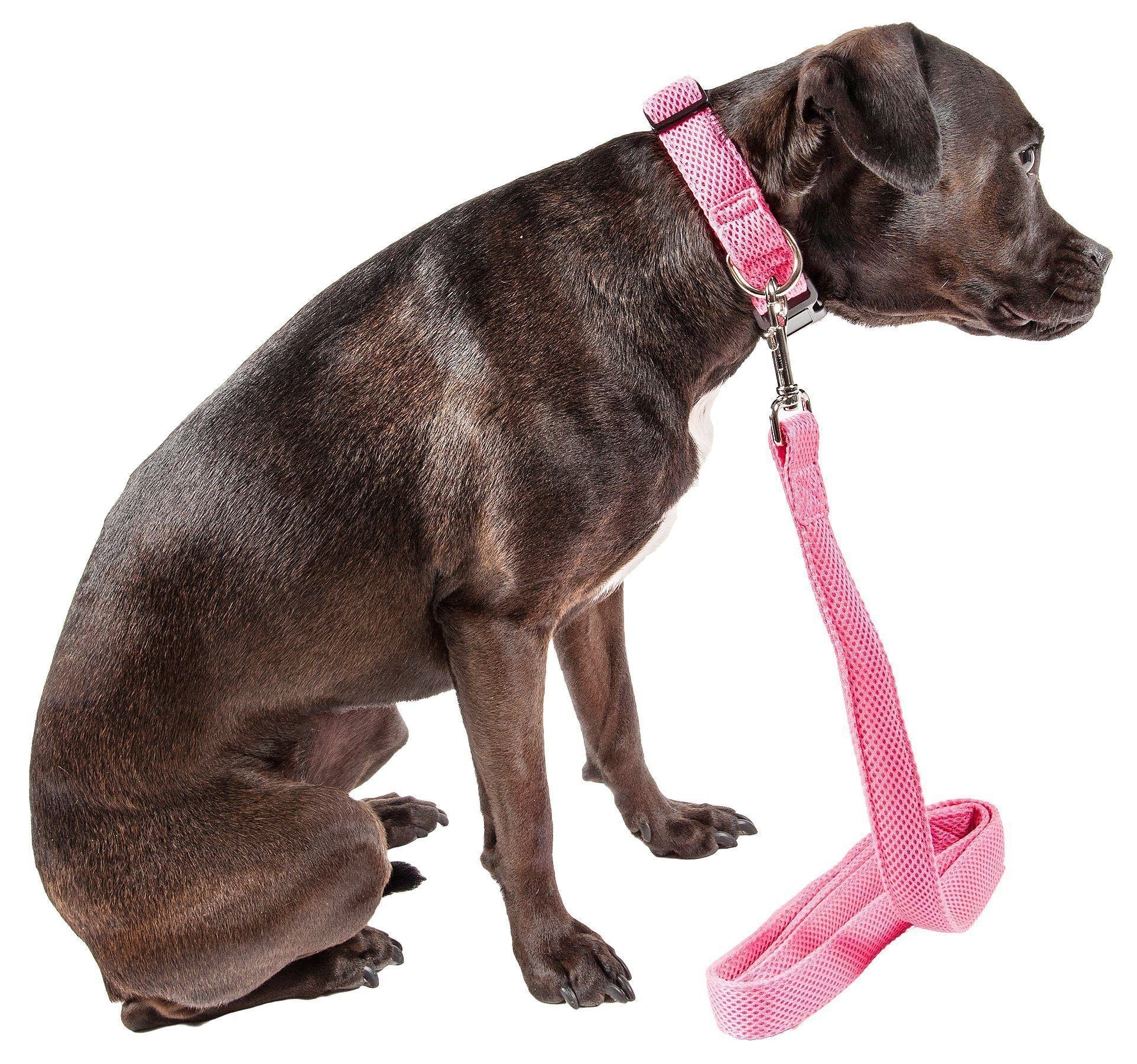 Pet Life ® 'Aero Mesh' 2-In-1 Breathable and Adjustable Dual-Sided Mesh Dog Leash and Collar