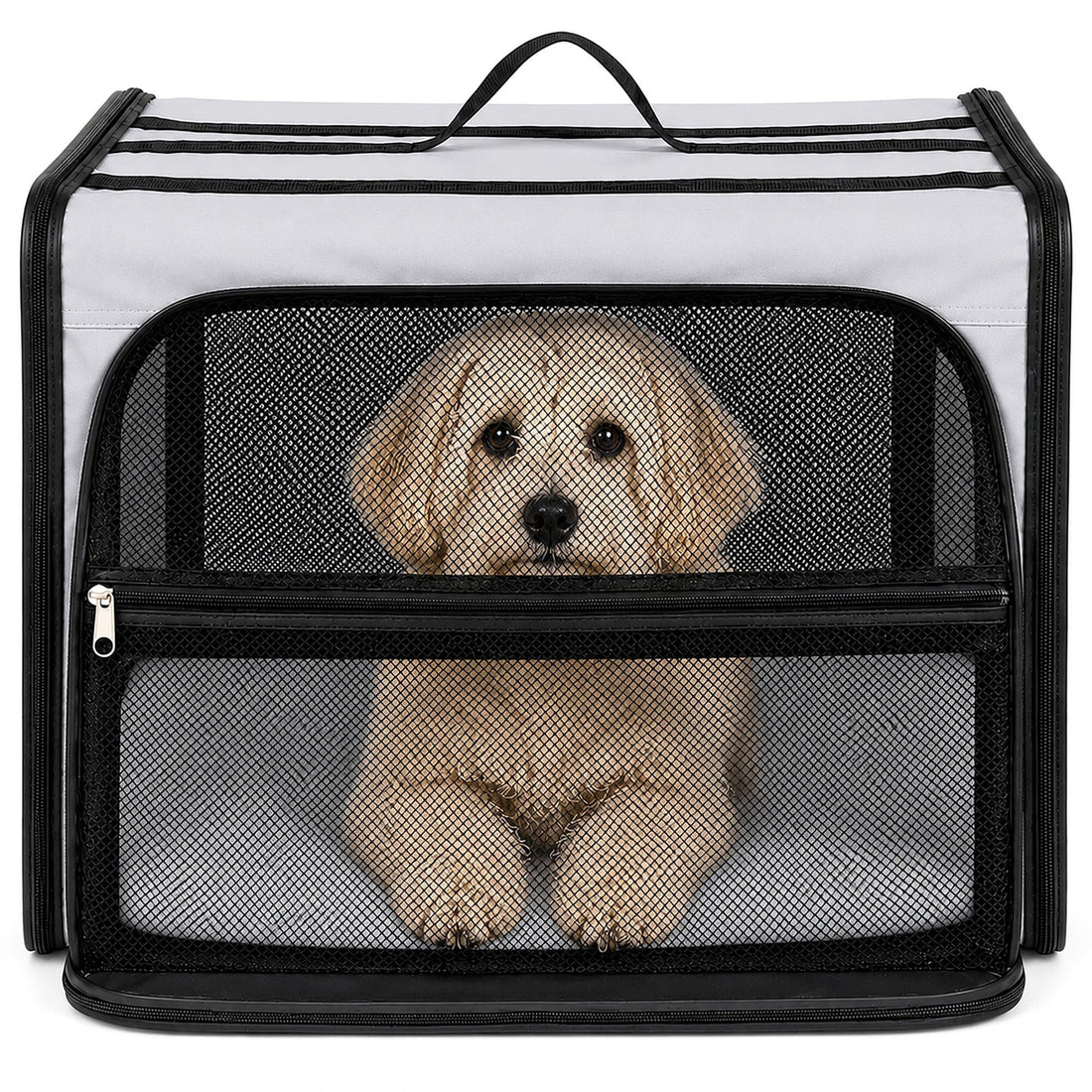 Expandable Folding Pet Crate | Lightweight Dog Carrier House