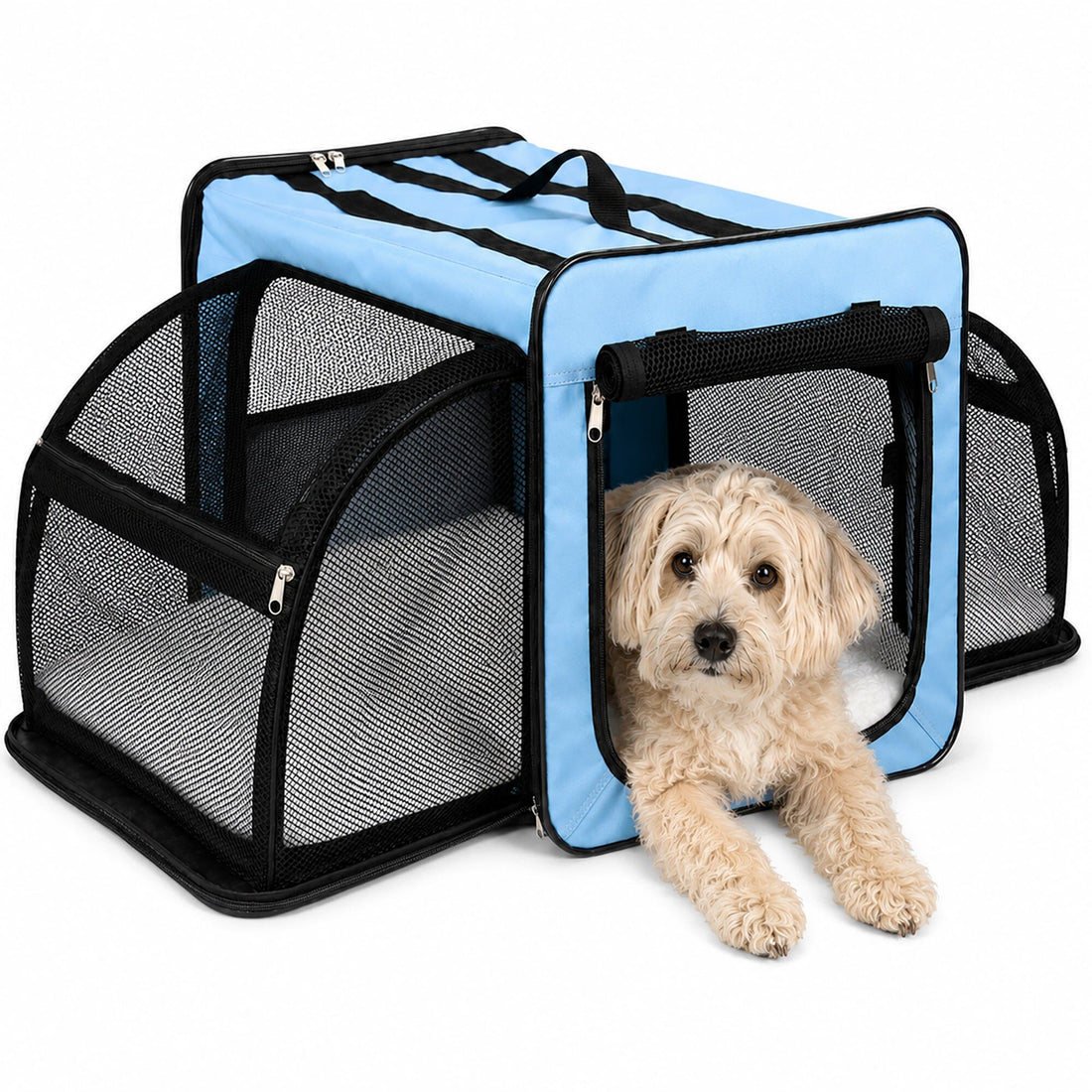 Expandable Folding Pet Crate | Lightweight Dog Carrier House