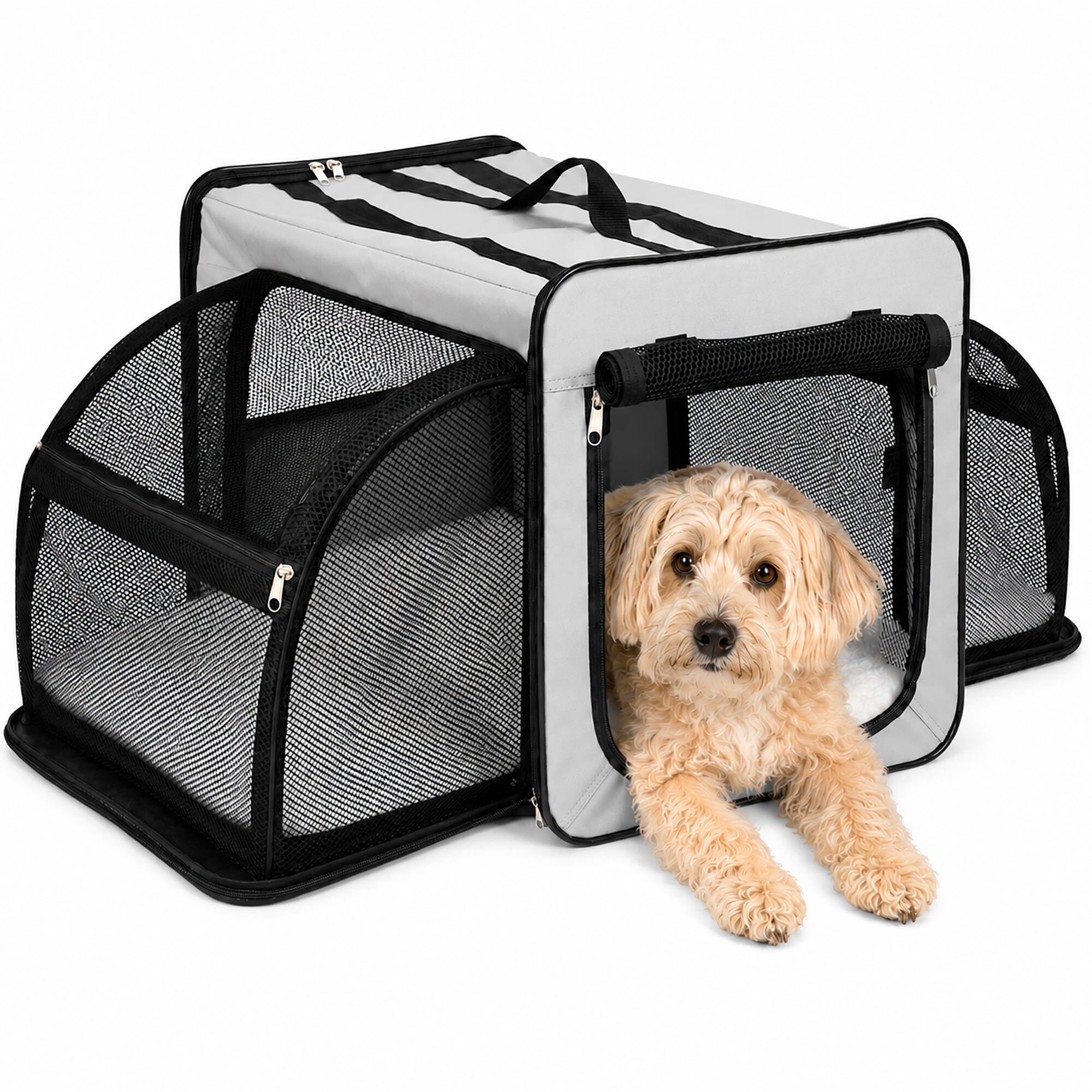 Expandable Folding Pet Crate | Lightweight Dog Carrier House