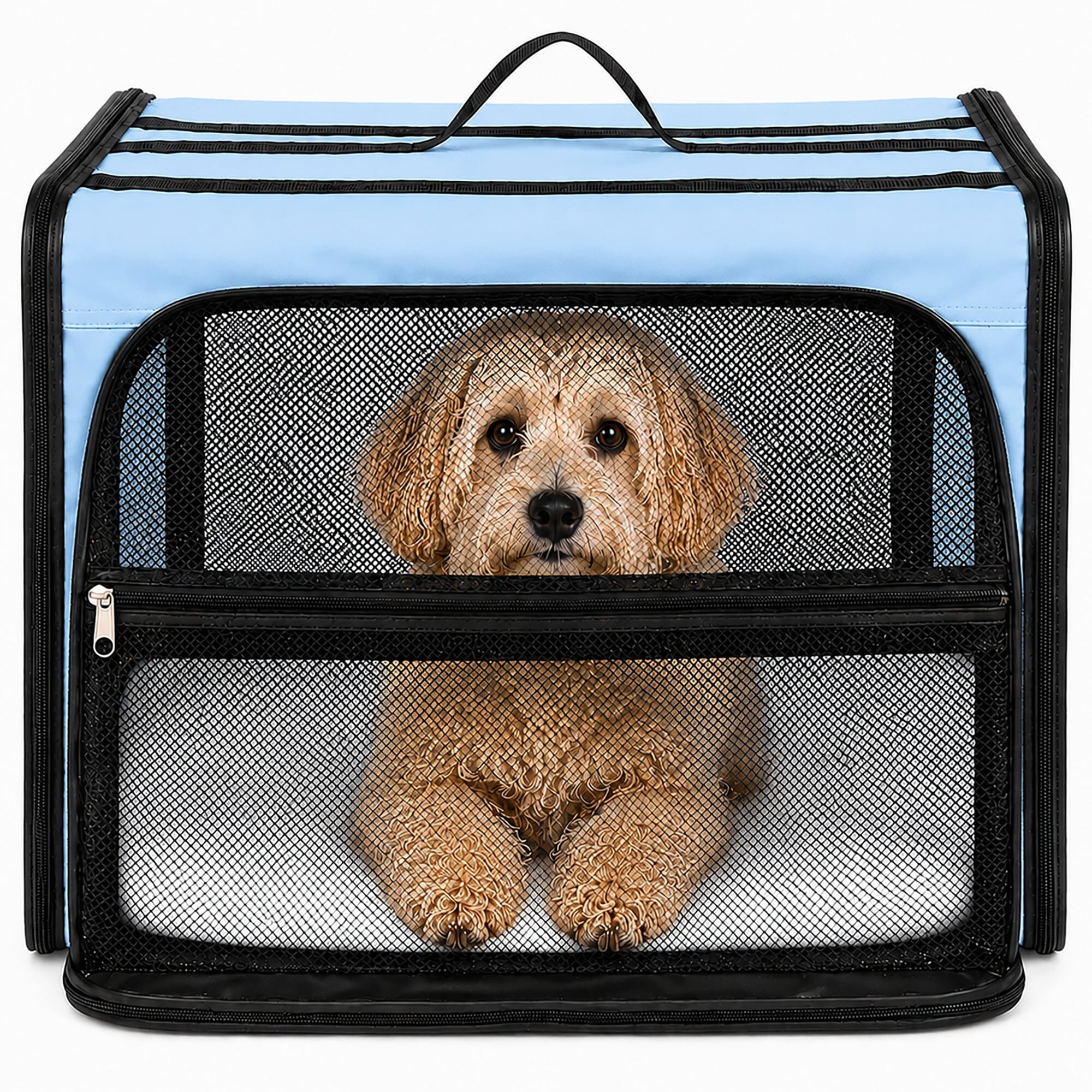 Expandable Folding Pet Crate | Lightweight Dog Carrier House