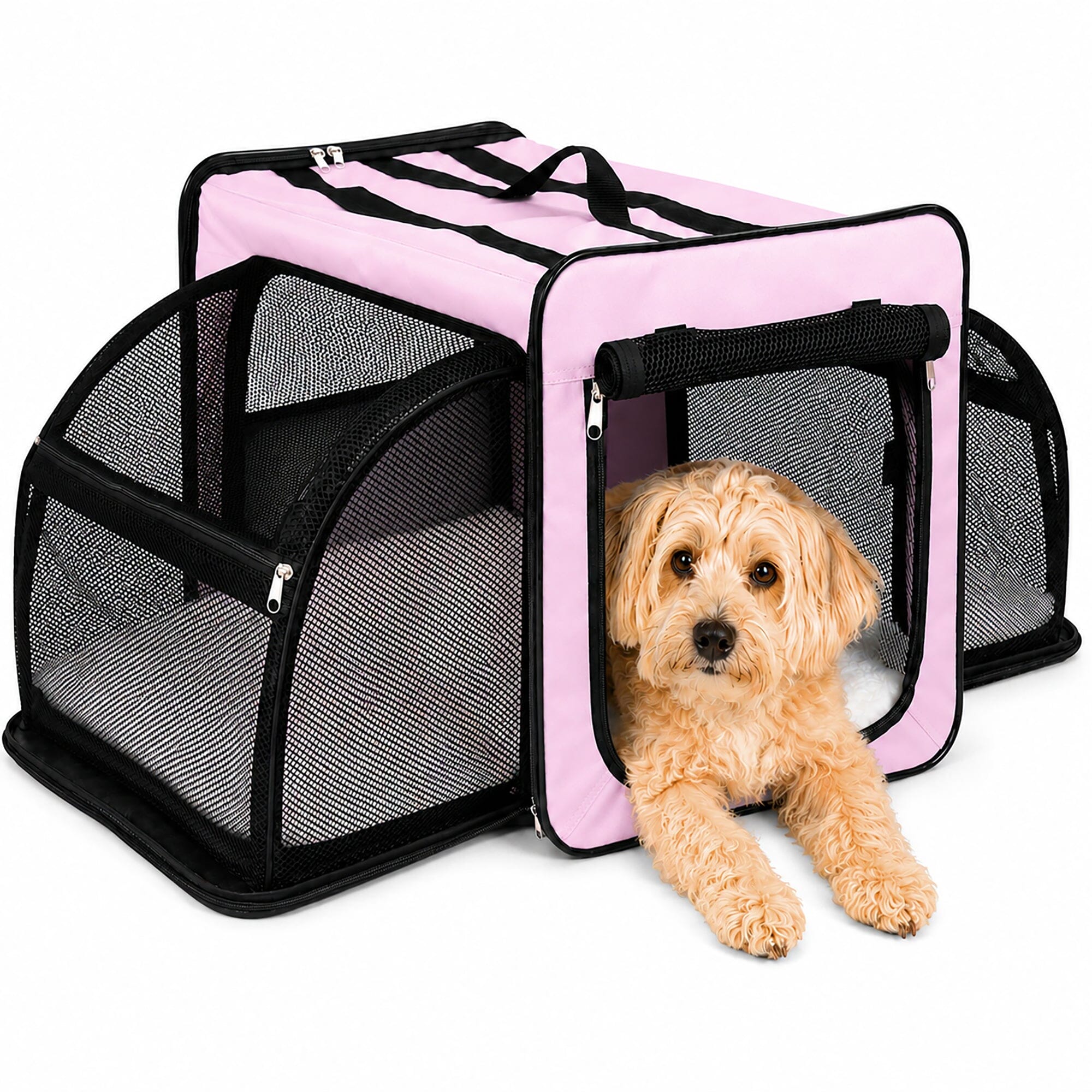 Expandable Folding Pet Crate | Lightweight Dog Carrier House