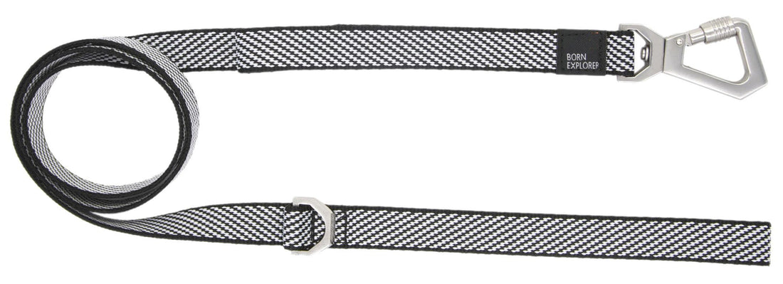 Pet Life ® 'Escapade' Outdoor Series 2-in-1 Convertible Dog Leash and Collar