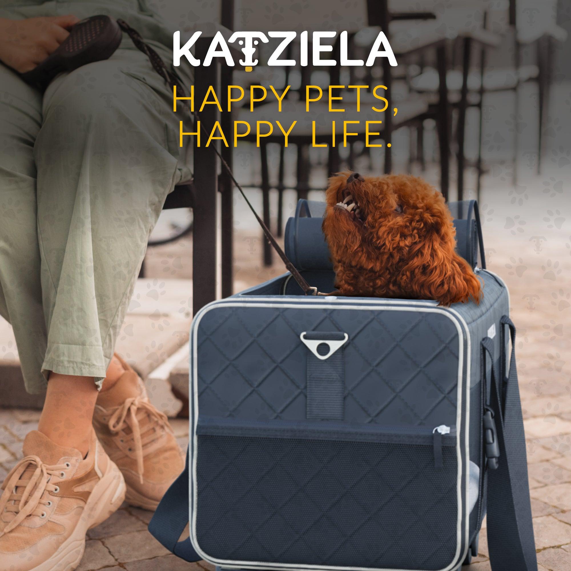 Quilted Pet Carrier with Wheels | Rolling Travel Carrier