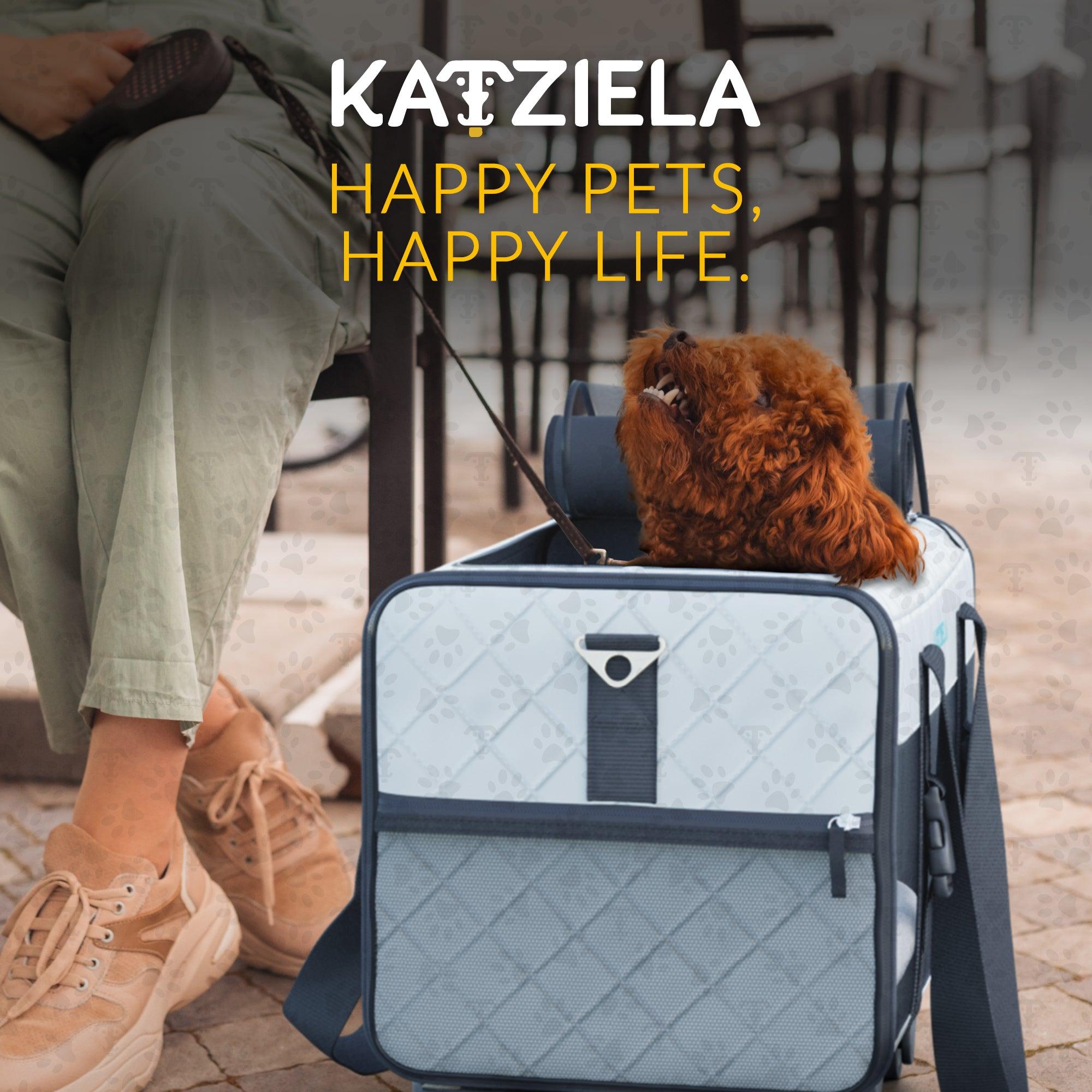 Quilted Pet Carrier with Wheels | Rolling Travel Carrier