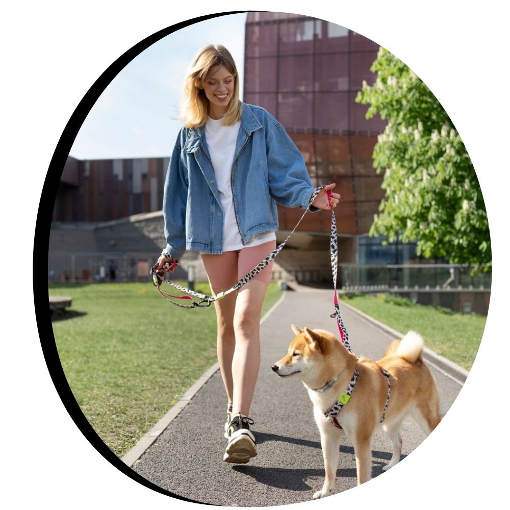 Smiling woman walking Shiba Inu dog on leopard print leash outdoors